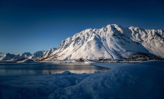 揭秘糖心Vlog新官方入口的秘密：评论区的热度与细节解析